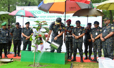 আনসার একাডেমিতে বৃক্ষরোপণ কর্মসূচির শুভ উদ্বোধন