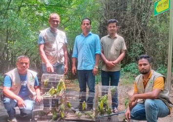 মিরপুর পাখির হাটে অভিযানে পাখি ও কচ্ছপ উদ্ধার, অবমুক্ত বোটানিক্যাল গার্ডেনে