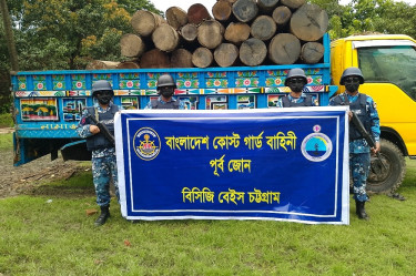২১ লক্ষ টাকার অবৈধ কাঠসহ ট্রাক জব্দ করেছে কোস্ট গার্ড, দুই পাচারকারী আটক