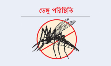 ডেঙ্গুতে জুলাই মাসে ৪১ জনের মৃত্যু