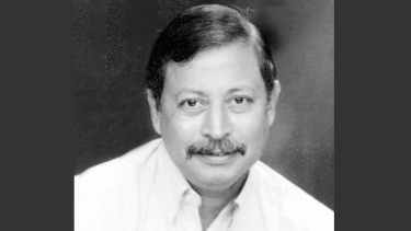 কূটনীতির ক্রিকেট, রাজনীতির ক্রিকেট