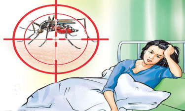 ডেঙ্গু থেকে বাঁচতে সাবধান হবেন যেভাবে