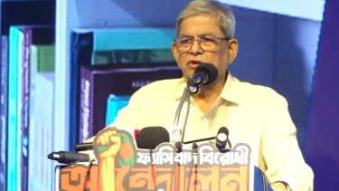 দেশে আবার একটা অস্থিরতা তৈরির ষড়যন্ত্র চলছে : মির্জা ফখরুল