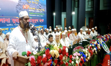 বিএনপির ভূমিকায় সংস্কারে অন্তর্বর্তী সরকার ব্যর্থ: মামুনুল হক