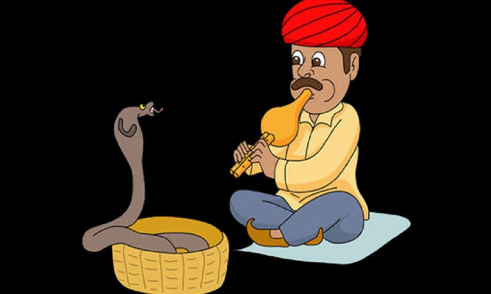 বিন বাজালে সাপ কাছে আসে কেন, রহস্য কী?