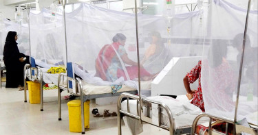 ২৪ ঘণ্টায় ডেঙ্গুতে আরও ৩ জনের মৃত্যু, হাসপাতালে ভর্তি ৩২৫