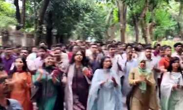 ঢাকা বিশ্ববিদ্যালয়ে ছাত্রদলের মৌন মিছিল