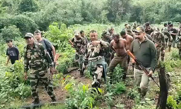 মেঘালয়ে ৫ বাংলাদেশি আটক, নিজেদের আ. লীগ কর্মী ও পুলিশ সদস্য দাবি