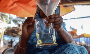 যে কারণে দাম কমলো পাম অয়েলের