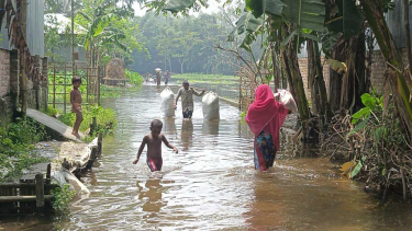 তিস্তার বন্যায় দুর্ভোগ, দিশাহারা দুই জেলার ১৫ হাজার মানুষ