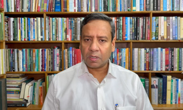 পিটার হাস থেকে নীলার হাঁস
