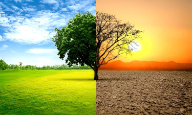 ইমান দুর্বল হওয়ার কারণ ও করণীয়