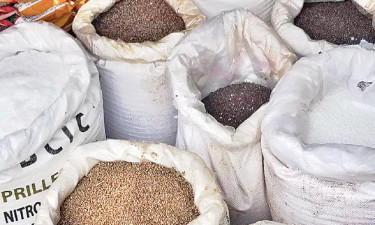 কয়রায় সারের দাম বেশি, বিপাকে কৃষক