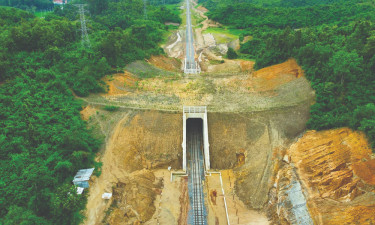 হাতি রক্ষায় ৪০ কোটি টাকার প্রকল্প, বসছে রোবটিক ক্যামেরা