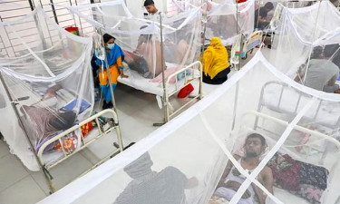 ডেঙ্গুতে ১ দিনে ৪ জনের মৃত্যু