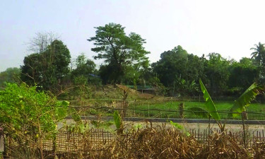 টেকনাফ সীমান্তে গুলির শব্দে উত্তেজনা, রোহিঙ্গা অনুপ্রবেশের চেষ্টা ব্যর্থ