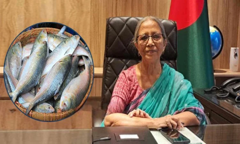 ইলিশের উৎপাদন বাড়াতে কঠোর ব্যবস্থা নেওয়া হচ্ছে: মৎস্য উপদেষ্টা