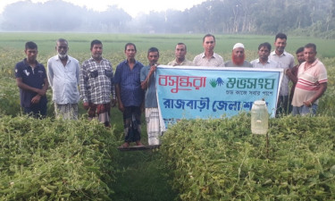 বসুন্ধরা শুভসংঘের উদ্যোগে কৃষকদের নিয়ে মতবিনিময় সভা
