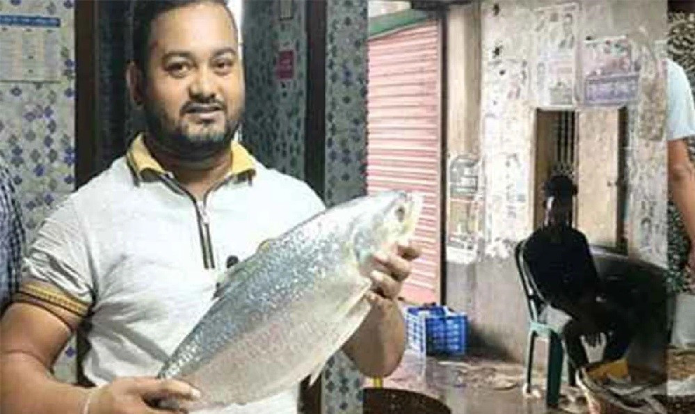 চাঁদপুরে এক ইলিশ বিক্রি হলো ১২ হাজার টাকায়