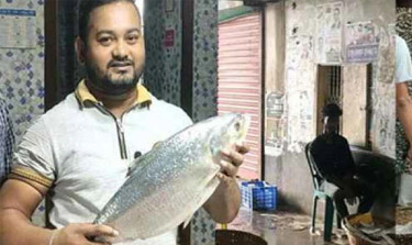 চাঁদপুরে এক ইলিশ বিক্রি হলো ১২ হাজার টাকায়
