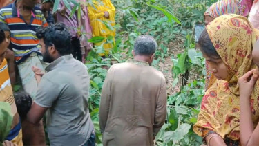 নিখোঁজ বৃদ্ধা মায়ের মরদেহ মিলল জঙ্গলে, তিন ছেলেসহ আটক ৫