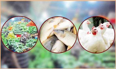 সবজির বাজারে উত্তাপ কমছেই না, চড়া দাম মাছ-মুরগির