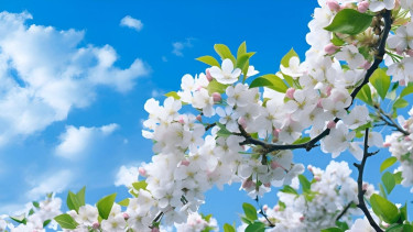 পাপমুক্ত জীবনযাপনে অনন্ত পুরস্কার