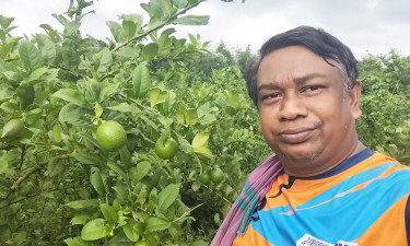 বাহারি সবজি ফলিয়ে সাড়া ফেলেছেন শিক্ষক মামুন