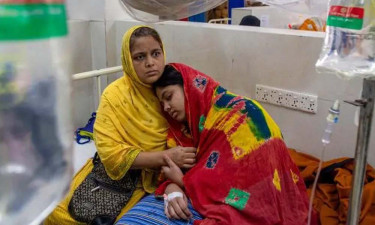 চিকুনগুনিয়া নাকি ডেঙ্গু বুঝবেন যেভাবে