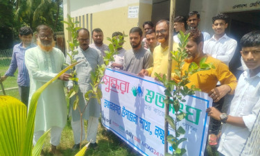 কমলনগরে বসুন্ধরা শুভসংঘের মাদক বিরোধী আলোচনা সভা ও বৃক্ষরোপণ কর্মসূচি পালিত