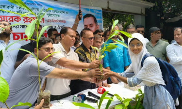 তারেক রহমানের পক্ষ থেকে স্কুল শিক্ষক-শিক্ষার্থীদের মাঝে গাছের চারা বিতরণ