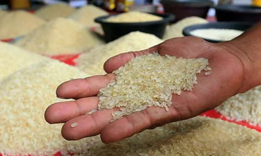 কমতে পারে চালের দাম, পূর্বাভাস পরিকল্পনা মন্ত্রণালয়ের
