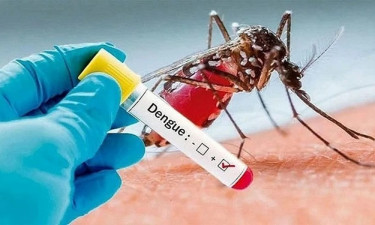 ডেঙ্গুতে মৃত্যুহারে শীর্ষে বাংলাদেশ