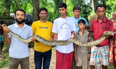 এবার মাছ ধরার ফাঁদে ধরা পড়লো অজগর