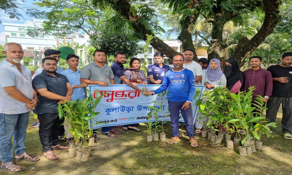 কুলাউড়ায় ফলজ গাছের চারা বিতরণ করলো বসুন্ধরা শুভসংঘ