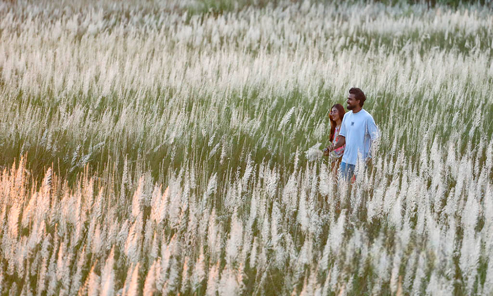 শরতের শুভ্র প্রান্তরে একবেলা