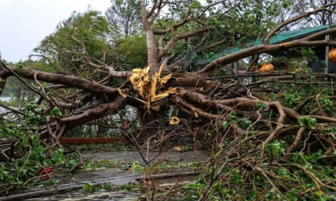 ভিয়েতনামে টাইফুন বুয়ালোই: নিহত ১৯