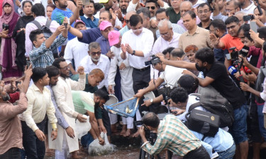 জিয়ার মাজার কমপ্লেক্সের লেকে মাছের পোনা অবমুক্ত