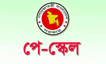 নতুন পে-স্কেল কার্যকর হলে বেতন বাড়বে যে হারে