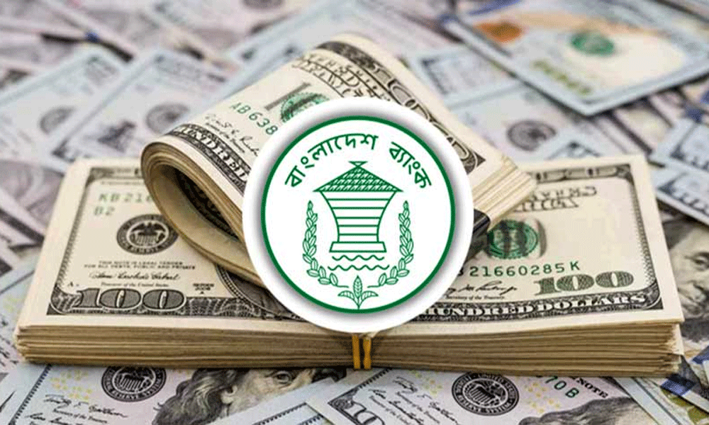 দেউলিয়াত্ব ঠেকাতে রাকাবকে ২ হাজার কোটি টাকার ঋণ সহায়তা