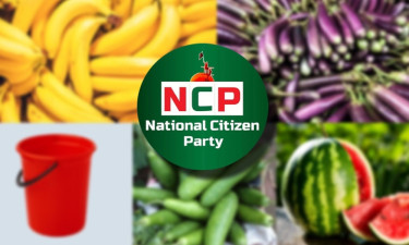 এনসিপিকে বেগুন, লাউ, চিংড়িসহ ৫০ প্রতীকের অপশন দিল ইসি