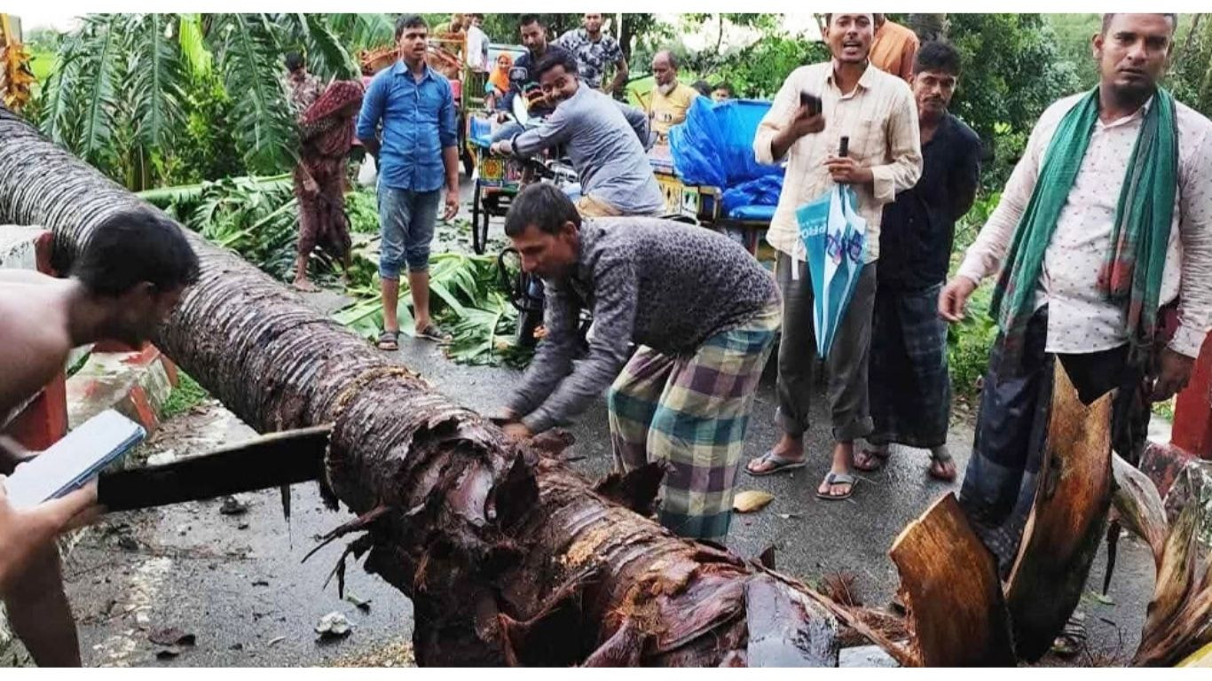 আকস্মিক ঝড়ে লন্ডভন্ড নওগাঁ
