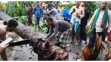 আকস্মিক ঝড়ে লন্ডভন্ড নওগাঁ