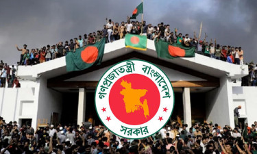 আরও দুটি জাতীয় দিবস চালু করছে সরকার