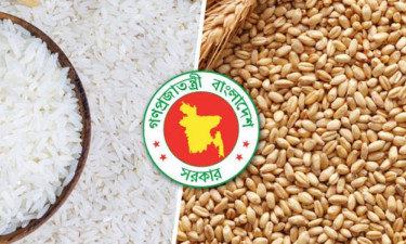 যুক্তরাষ্ট্রে থেকে গম ও ভারত থেকে চাল কিনছে সরকার