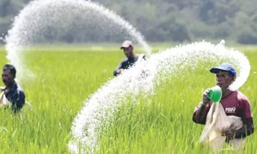 তিন দেশ থেকে সার কিনছে সরকার
