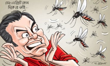 মশায় নাগরিক দুর্দশা চরমে