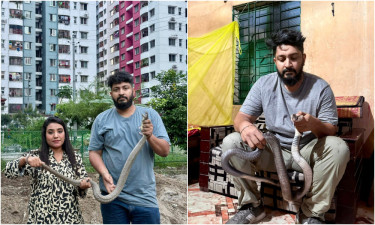 রাজধানীর বাসাবাড়িতে সাপ আতঙ্ক, সাড়ে ৩ মাসে উদ্ধার ৩২১