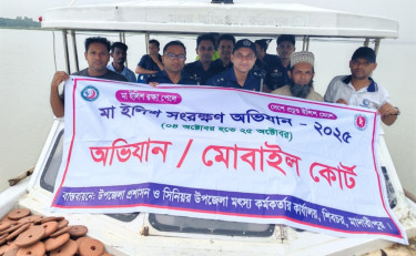 মা ইলিশ সংরক্ষণ অভিযানে গ্রেপ্তার ৩২৮