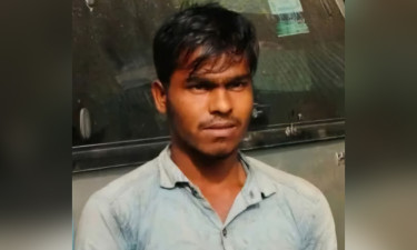 ফাঁদ দিয়ে বক শিকার, যুবকের কারাদণ্ড